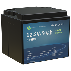 12,8 V 50 Ah Lithium-LFP-Batterie